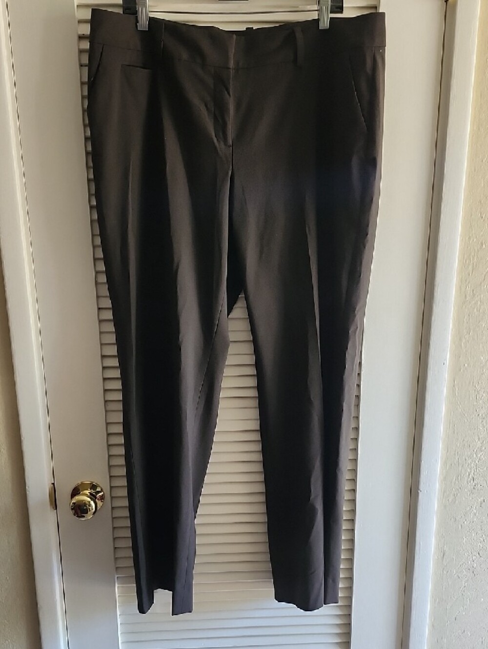 Halogen Taylor Fit Dress Pants- Dark Brown